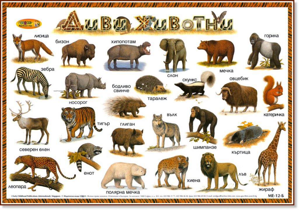 Диви животни by Клуб 