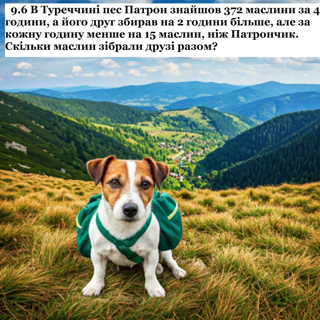 Математичні пригоди з Патроном by Natali Barabash - Ourboox.com