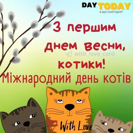 Всесвітній день котів by Inna Thachuk - Illustrated by Студентка м11ПО групи факультету ППОМ БДПУ  - Ourboox.com
