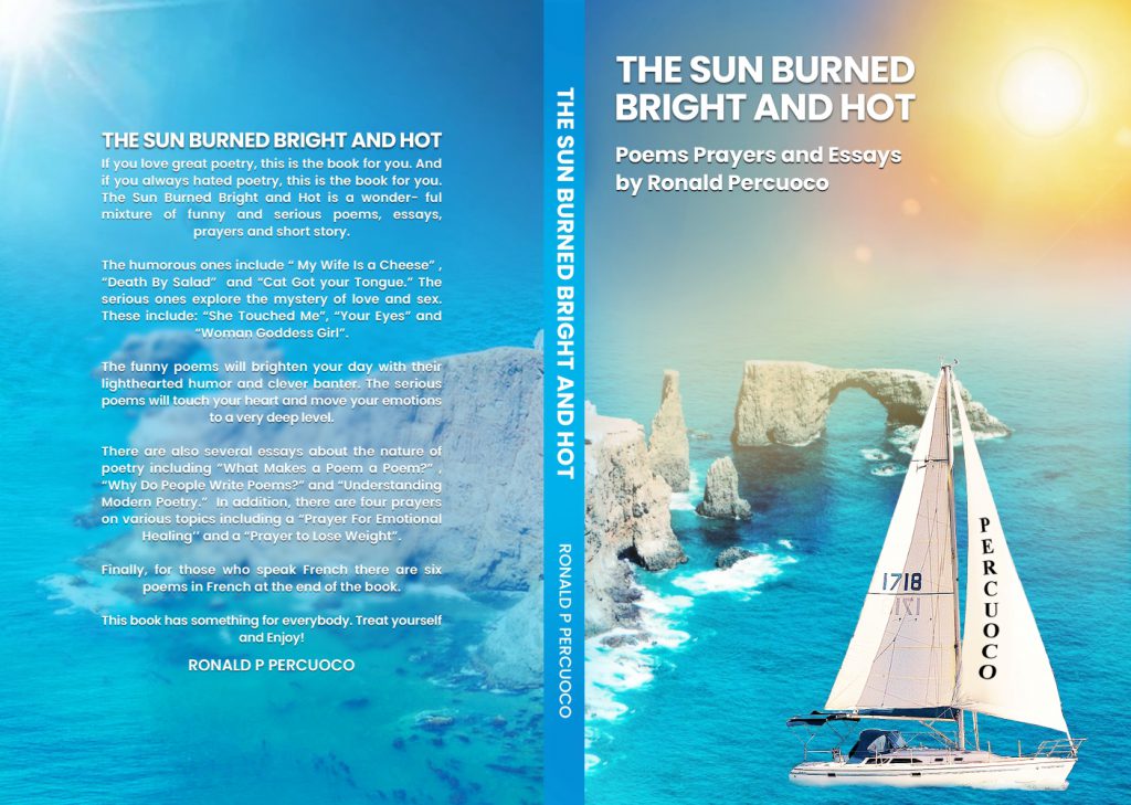 Whiskers and Wisdom: The Feline Charm of The Sun Burned Bright and Hot by Ronald P Percuoco - Ourboox.com