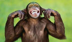 роздуми коко by timmie - Illustrated by інкогніто - Ourboox.com