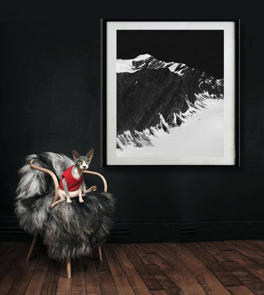 #fineartlandscapephotosforsale #limitededitionfineartprints #blackandwhitephotosforsale, #abstractart, #originalartworksforsale, #abstractartworksphotosforsale, #BlackandWhitePhotographyforsale, #MonochromeWallArt, #BuyBlackandWhiteArtPrints, #Blackandwhiteprints, #Blackandwhiteart, #FineArtPhotosforsale, #heartandsoulwhisperer, #heartandsoulwhispererartgallery, #drzenaidycastro, #voguesmilesmelbourne, #sphynxcats #BuyFineArtPrintsForSaleOnline #FineArtPhotographyForSale #BuyFineArt #PhotographyArtPrintsForSale #FineArtBlackandWhitePhotography #Australiaand&InternationalFineArtForsale #FineArtPhotographyPrintsforSale #FineArtPhotographyPrintsforSale #OriginalPhotographyForSale #AustralianFineArtForSaleOnline #BuyPremiumArtPrintsOnline #OriginalArtworkforSale #blackandwhitephotosforsale #MonochromeWallArt #buyart, #buyphoto, #PhotoBlackandWhite #fineartphotographyforsale