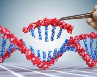 Генотерапія та її перспективи. by Polushko Mariia - Ourboox.com