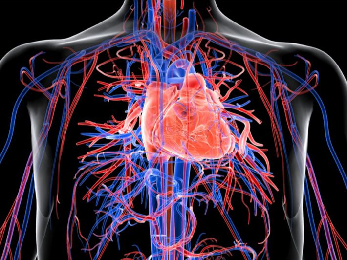 رحلة داخل جهاز النقل 🩸 by manar - Ourboox.com