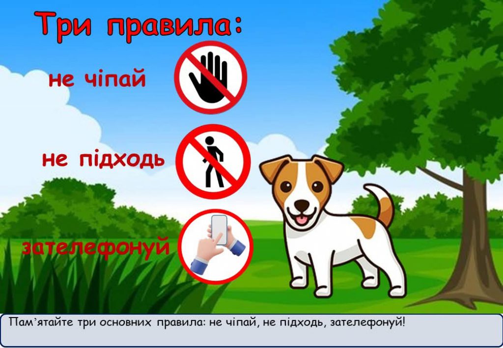 МІННА БЕЗПЕКА by Нужина Ірина Василівна - Ourboox.com