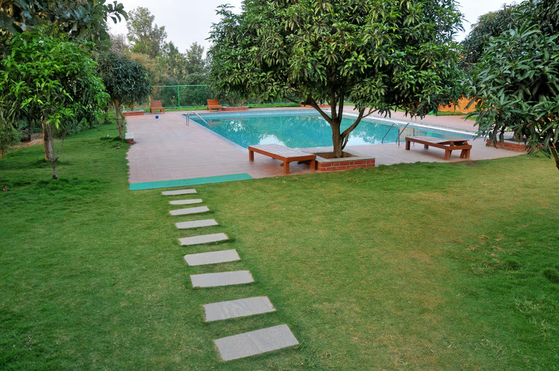 Suggee Resort: Your Perfect Escape for Fun & Adventure! by Anushre - Illustrated by Borrbo - Ourboox.com