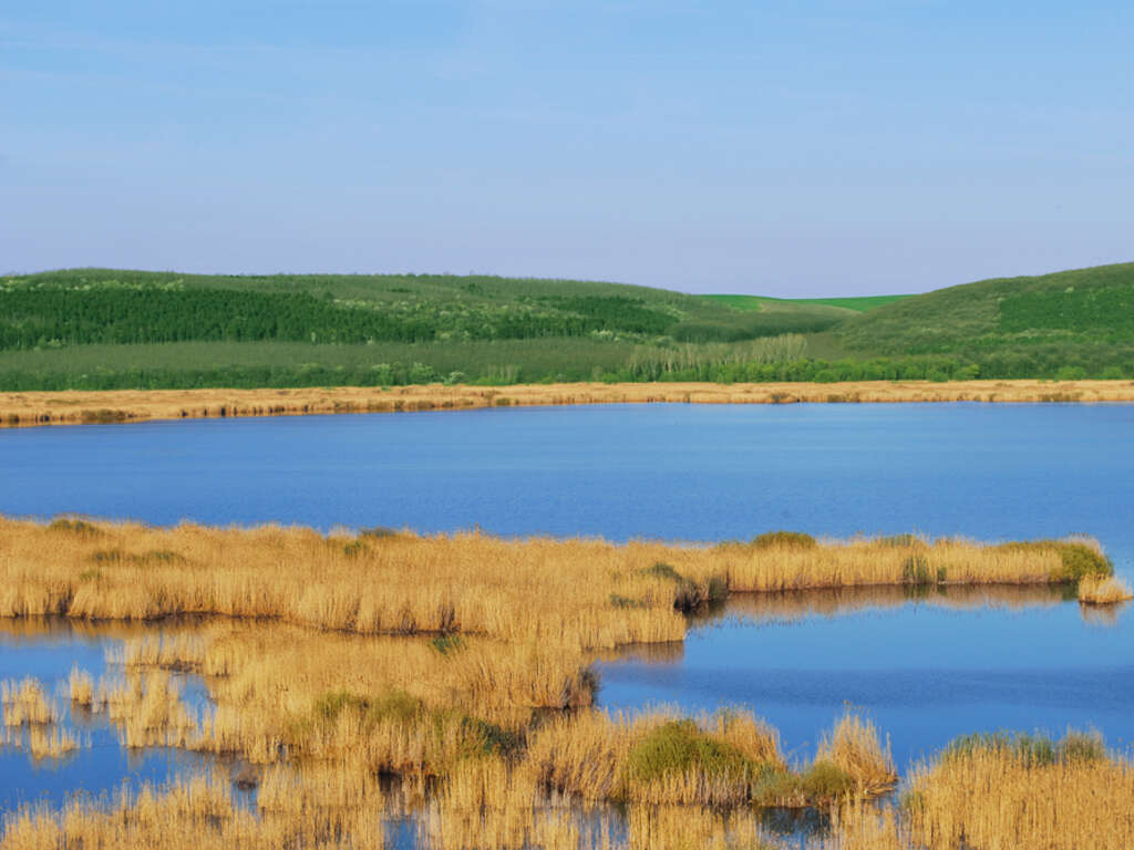 Силистра – градът на Дунав и вечността by Greta Valcheva - Illustrated by Невена Драганова - Ourboox.com