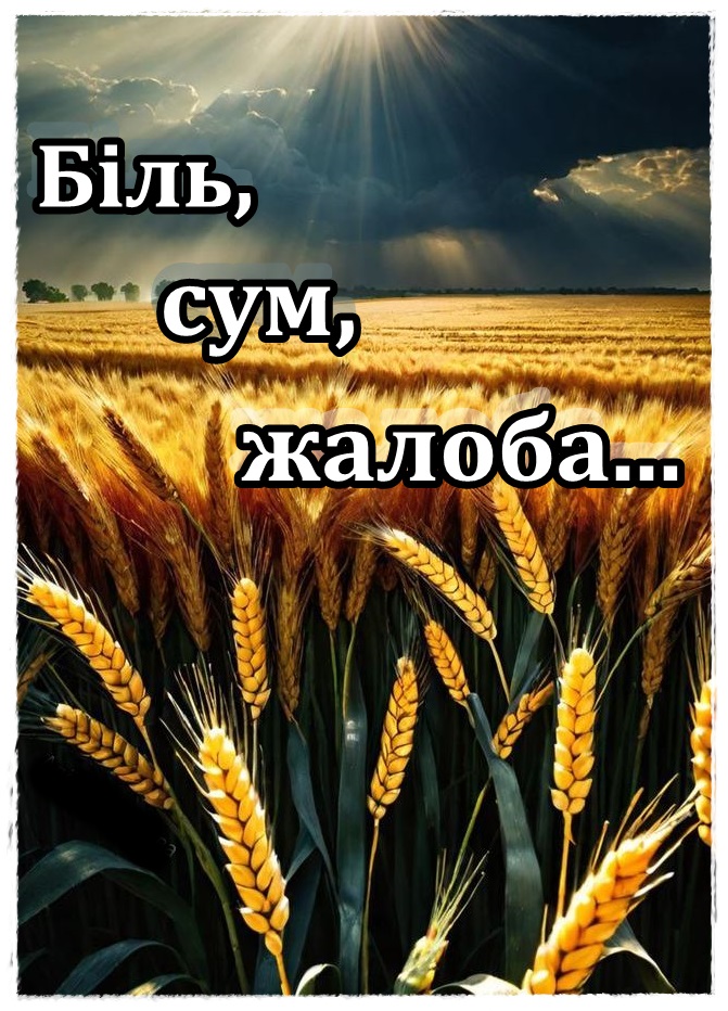 Лицарі небесної варти. КНИГА ПАМ’ЯТІ by SʹOHODENNYA PALATSU - Illustrated by Палац дітей та юнацтва ім. Алли Іванової - Ourboox.com