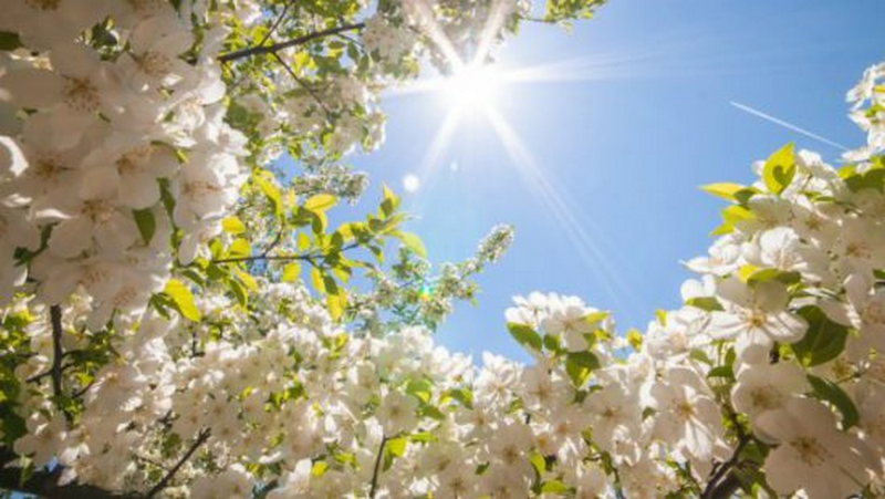 Останній дзвоник – 2025 by Ignatieva Svitlana - Ourboox.com