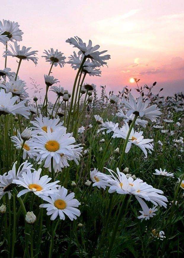 Земля – наш дім by Khamutinnikova Galina - Illustrated by Учні 7 класу Новогорівської гімназії Роздольської сільської ради Василівського району Запорізької області.  Керівник групи Хамутіннікова Галина Іванівна - Ourboox.com