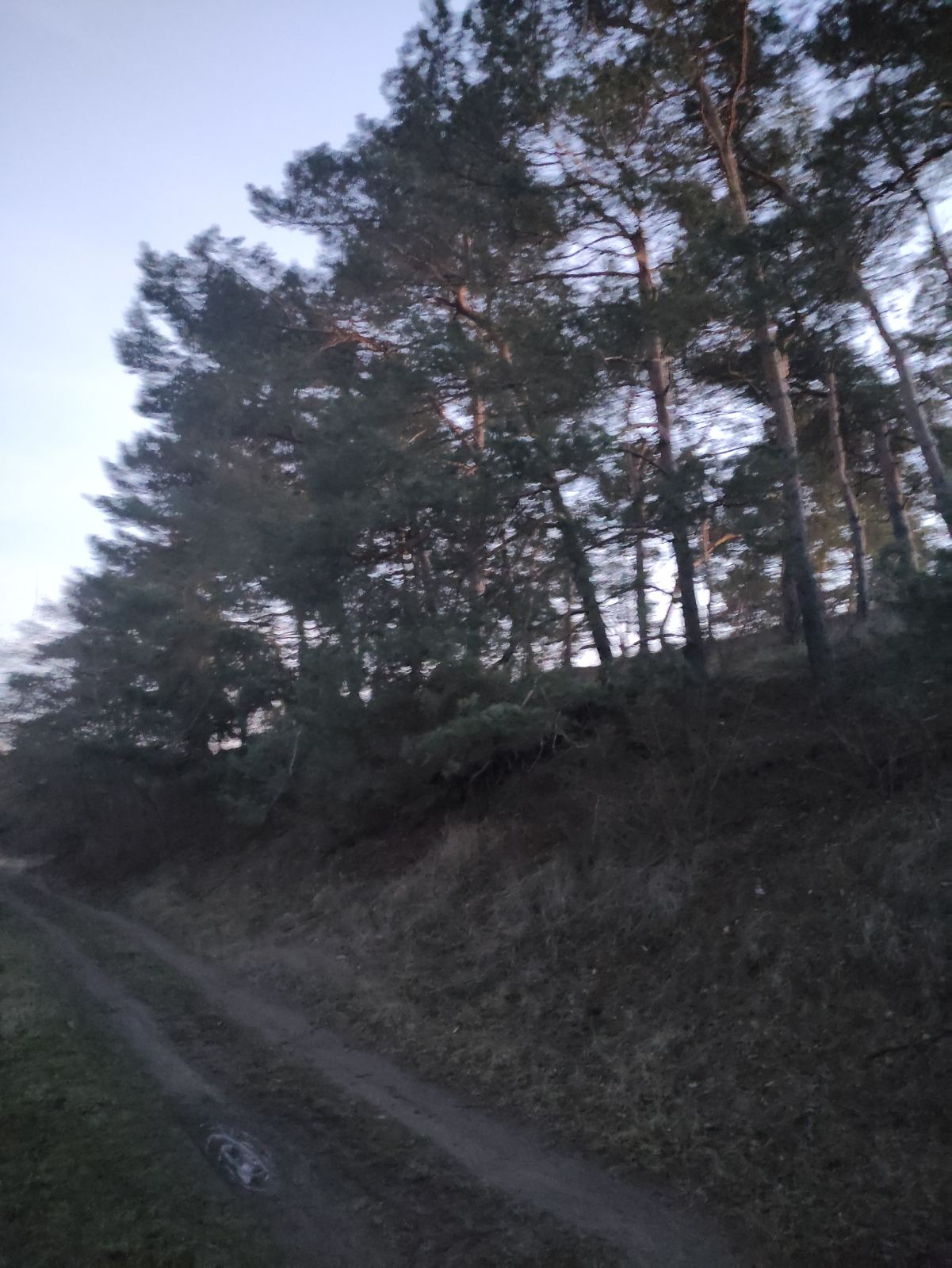 Земля – наш дім by Khamutinnikova Galina - Illustrated by Учні 7 класу Новогорівської гімназії Роздольської сільської ради Василівського району Запорізької області.  Керівник групи Хамутіннікова Галина Іванівна - Ourboox.com