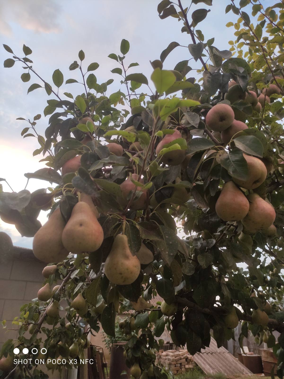 Земля – наш дім by Khamutinnikova Galina - Illustrated by Учні 7 класу Новогорівської гімназії Роздольської сільської ради Василівського району Запорізької області.  Керівник групи Хамутіннікова Галина Іванівна - Ourboox.com