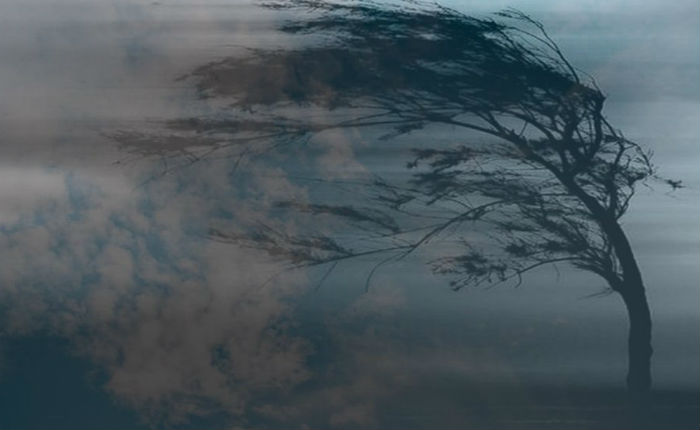 Таємниці погоди від чарівної природи by Kravchuk Katerina - Ourboox.com