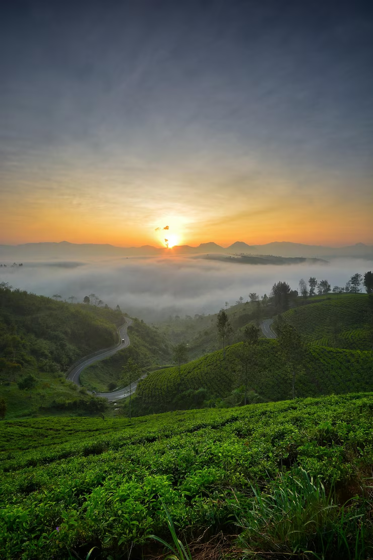 Таємниці погоди від чарівної природи by Kravchuk Katerina - Ourboox.com