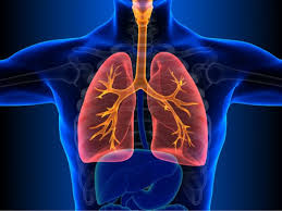 عجائب جسم الإنسان by هلا - Illustrated by طالبات الصف الخامس - Ourboox.com