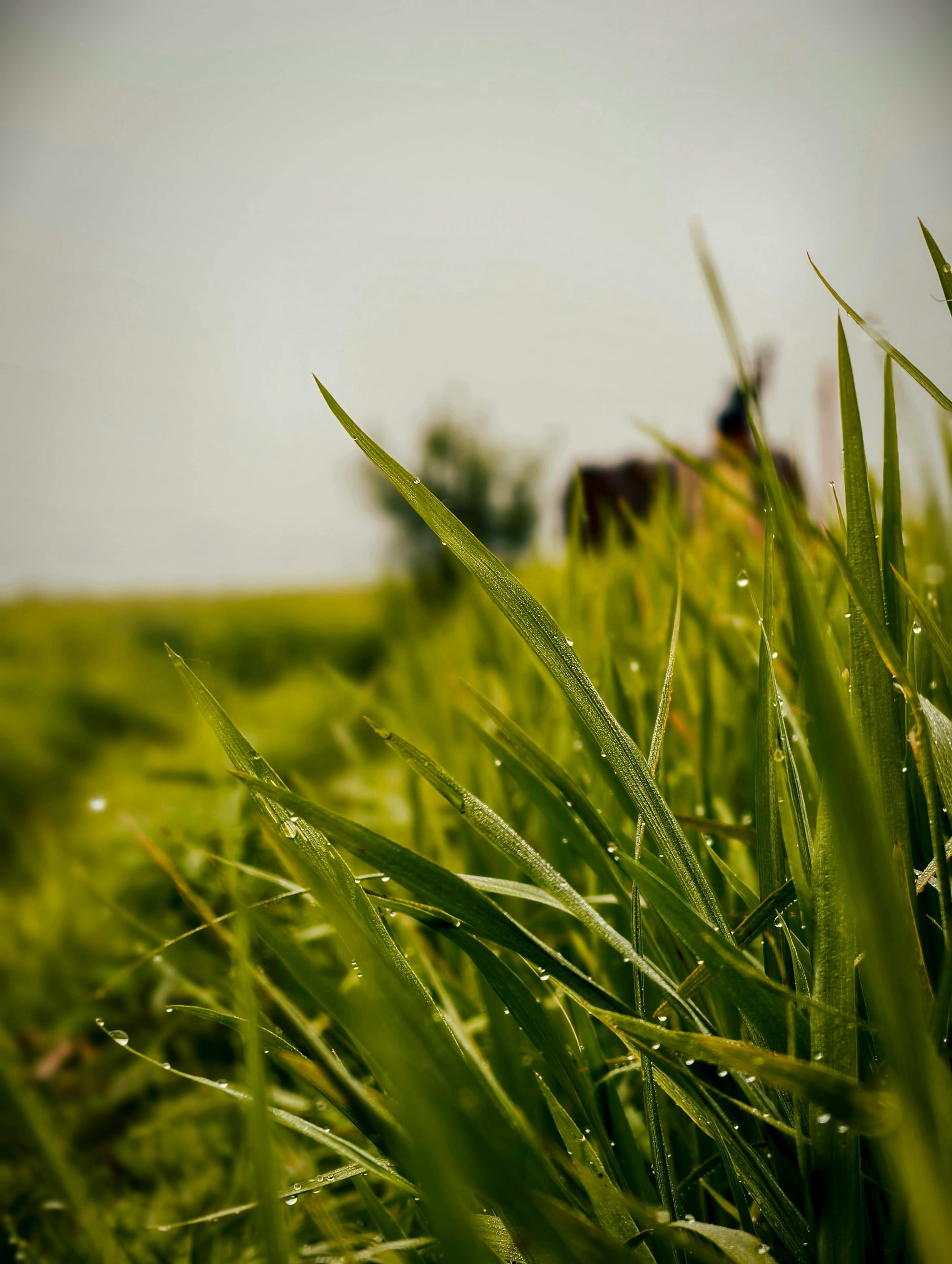 !Скарбничка народної мудрості про погоду by Nastya - Ourboox.com