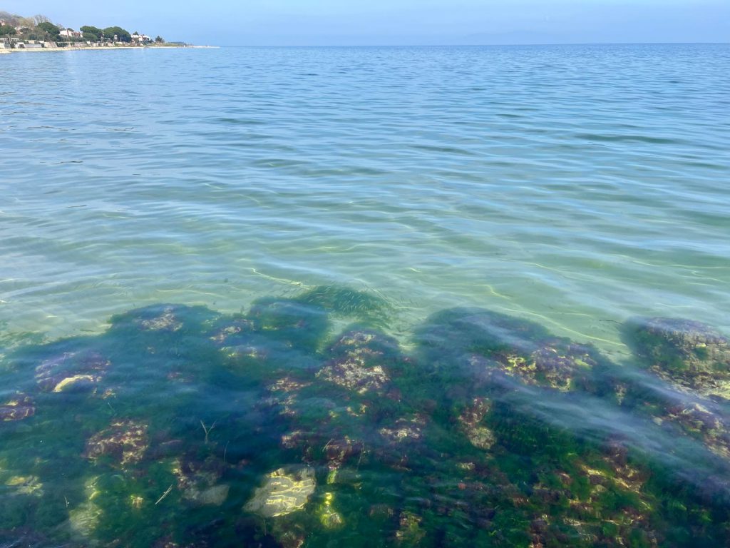 Nature’s Nurture by Oya Arslan - Ourboox.com