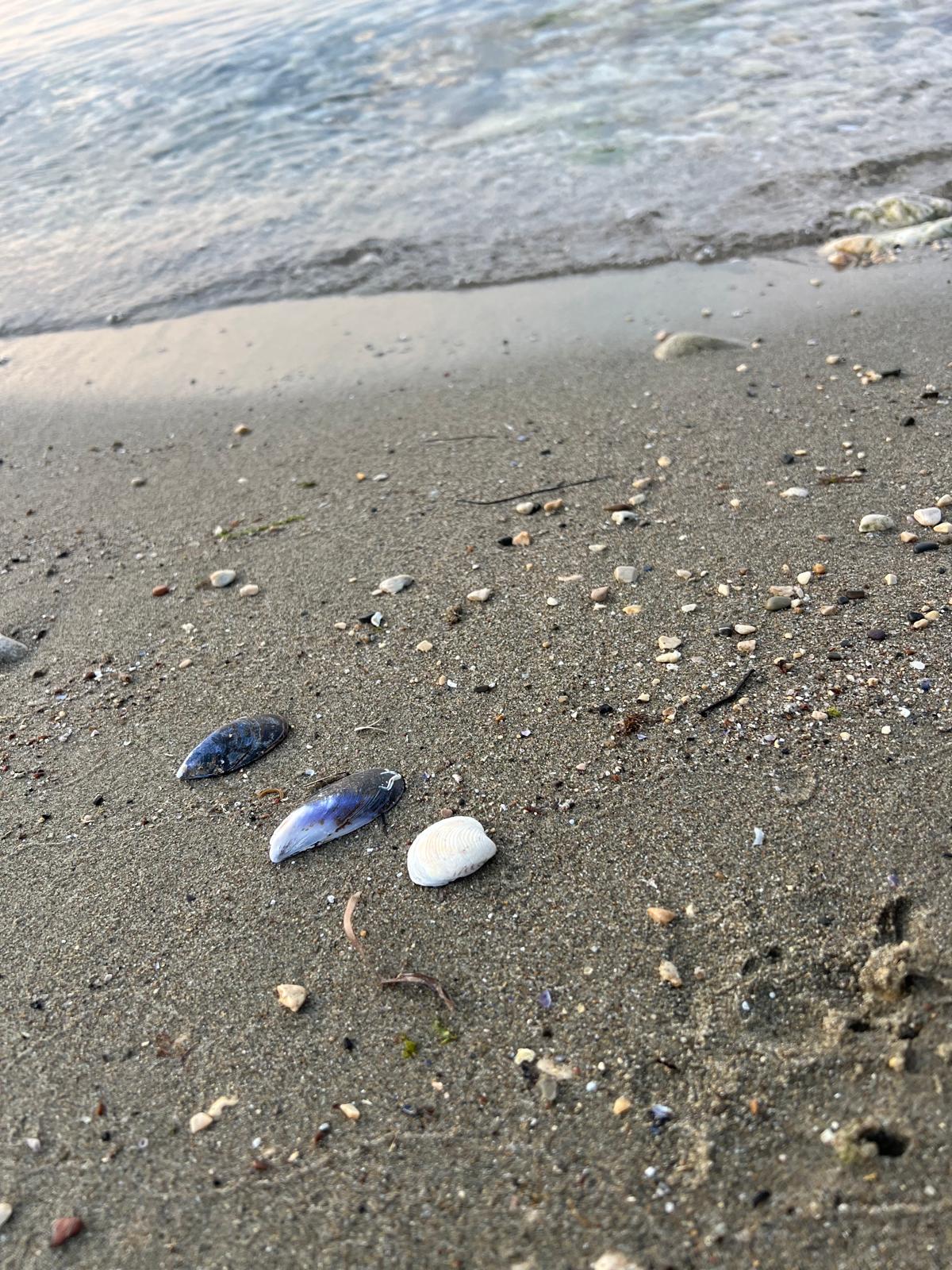 Nature’s Nurture by Oya Arslan - Ourboox.com