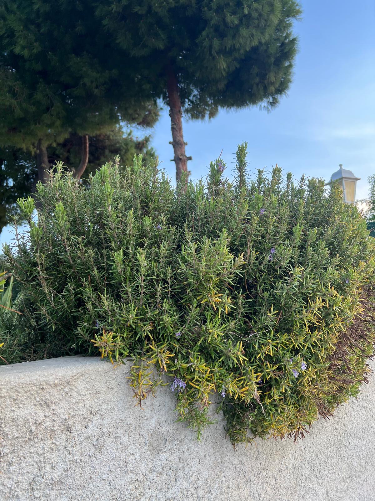 Nature’s Nurture by Oya Arslan - Ourboox.com