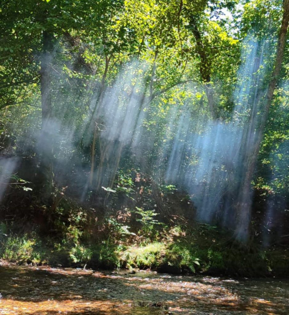 Nature’s Nurture by Oya Arslan - Ourboox.com