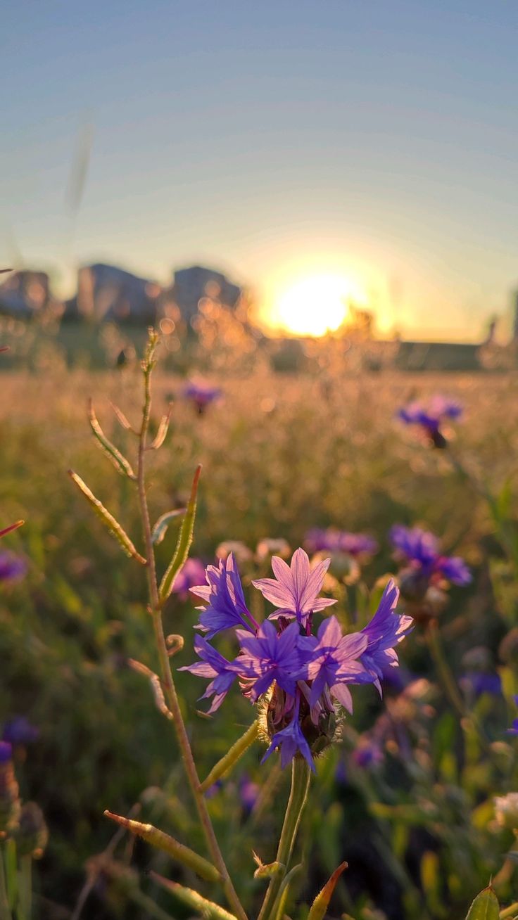 Nature’s Nurture by Oya Arslan - Ourboox.com