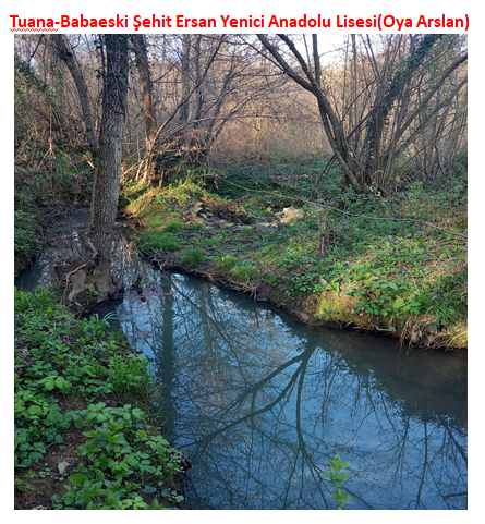 Nature’s Nurture by Oya Arslan - Ourboox.com