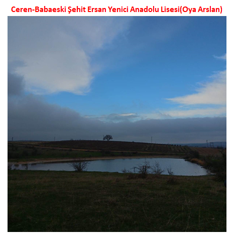 Nature’s Nurture by Oya Arslan - Ourboox.com