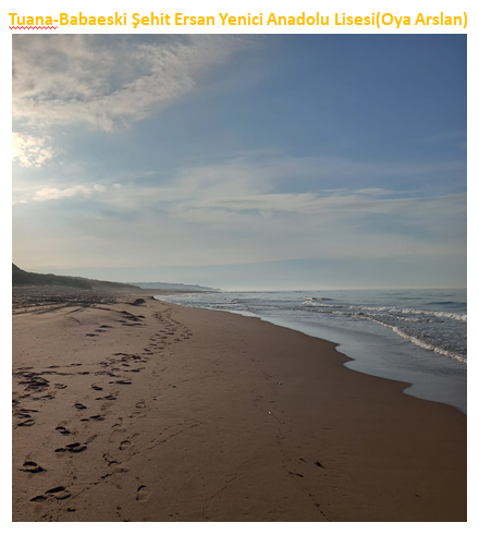 Nature’s Nurture by Oya Arslan - Ourboox.com