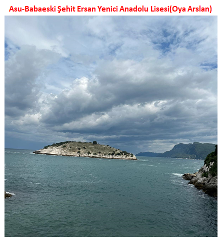 Nature’s Nurture by Oya Arslan - Ourboox.com