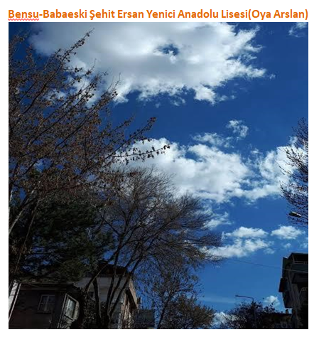 Nature’s Nurture by Oya Arslan - Ourboox.com