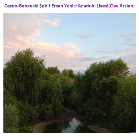 Nature’s Nurture by Oya Arslan - Ourboox.com