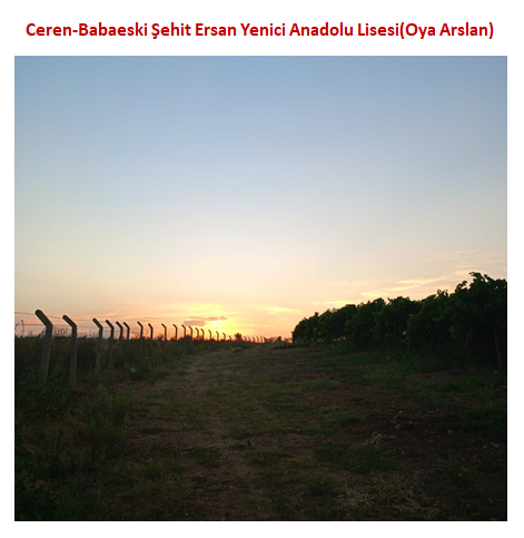 Nature’s Nurture by Oya Arslan - Ourboox.com