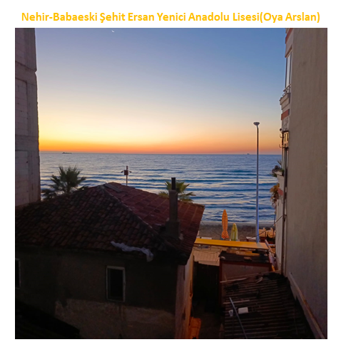 Nature’s Nurture by Oya Arslan - Ourboox.com