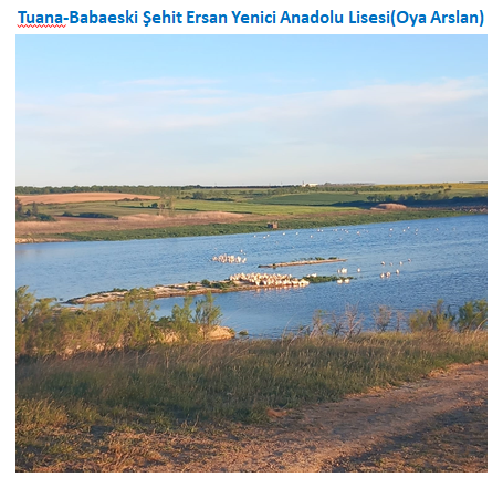 Nature’s Nurture by Oya Arslan - Ourboox.com