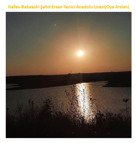 Nature’s Nurture by Oya Arslan - Ourboox.com