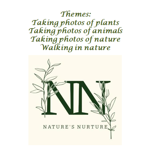 Nature’s Nurture by Oya Arslan - Ourboox.com