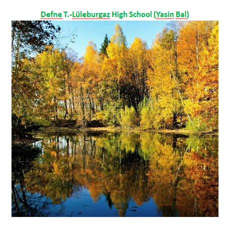 Nature’s Nurture by Oya Arslan - Ourboox.com