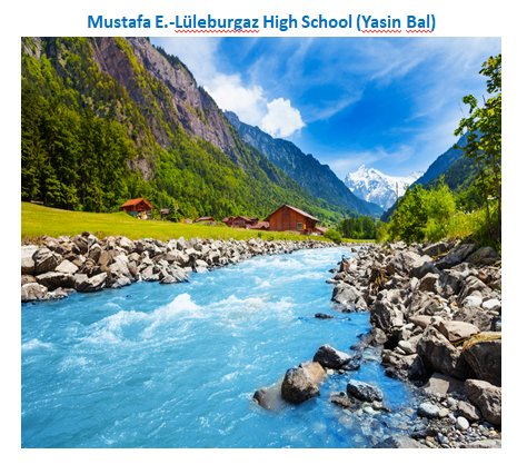 Nature’s Nurture by Oya Arslan - Ourboox.com