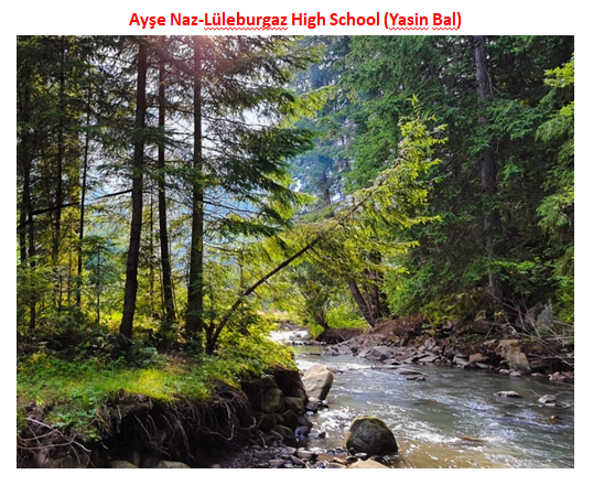 Nature’s Nurture by Oya Arslan - Ourboox.com