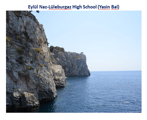 Nature’s Nurture by Oya Arslan - Ourboox.com