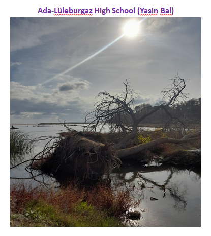 Nature’s Nurture by Oya Arslan - Ourboox.com