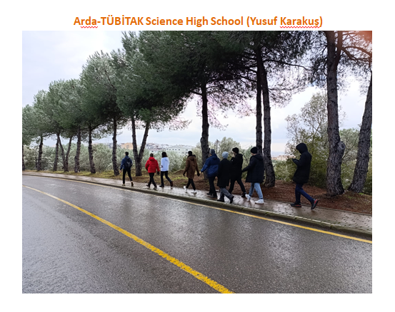 Nature’s Nurture by Oya Arslan - Ourboox.com