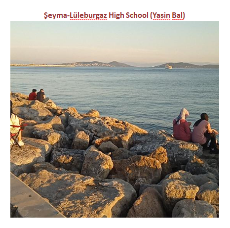 Nature’s Nurture by Oya Arslan - Ourboox.com