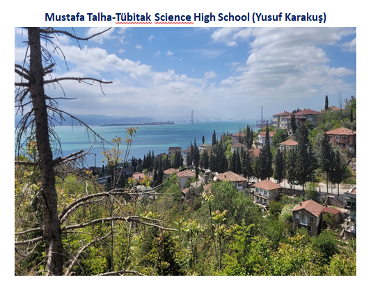 Nature’s Nurture by Oya Arslan - Ourboox.com