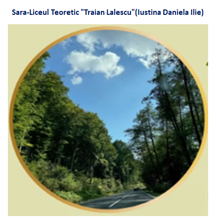 Nature’s Nurture by Oya Arslan - Ourboox.com