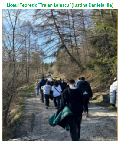 Nature’s Nurture by Oya Arslan - Ourboox.com