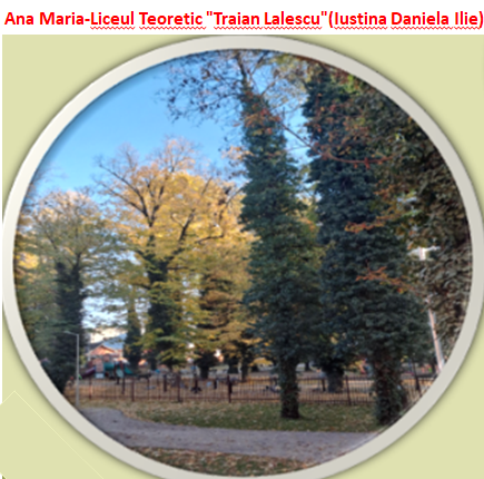 Nature’s Nurture by Oya Arslan - Ourboox.com