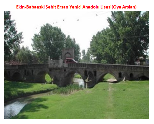 Nature’s Nurture by Oya Arslan - Ourboox.com