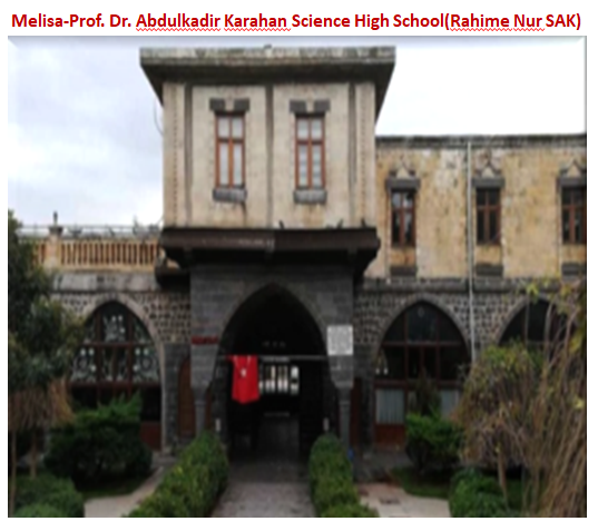 Nature’s Nurture by Oya Arslan - Ourboox.com