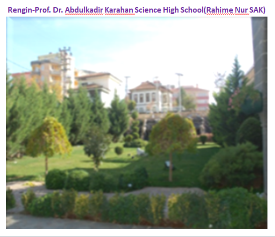 Nature’s Nurture by Oya Arslan - Ourboox.com